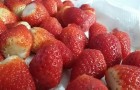 Juicy, red strawberries ….